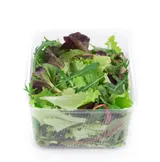 Mesclun mix salátů, vanička