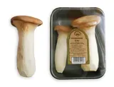 Hlíva Královská (Máčková) – ERYNGII, vanička