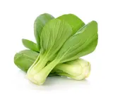Pak Choi, balení