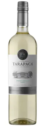 Tarapacá Pinot Grigio varietal