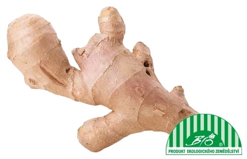 BIO zázvor, volně