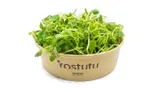 Microgreens hrášek, vanička