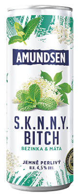 Amundsen Skinny Bitch RTD 4,5% obj. plech