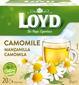 Loyd Pyramida heřmánek