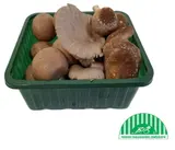 BIO Směs pěstovaných hub (Trimix), vanička
