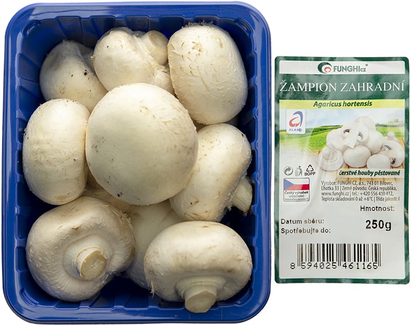 Žampiony bílé, vanička