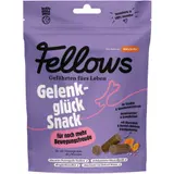 Fellows Gelenkglück hmyzí funkční pamlsky na podporu kloubů pro psy