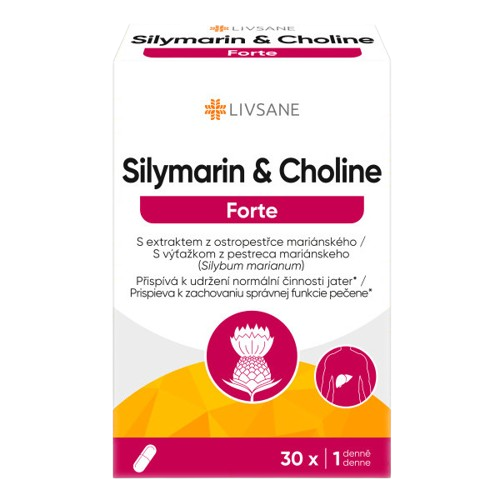 LIVSANE Silymarin & Cholin Forte tob.30
