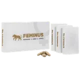 FEMINUS tbl.60