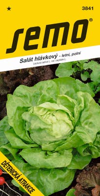 Semo Salát hlávkový DĚTENICKÁ ATRAKCE
