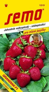 Semo Jahodník velkoplodý - stálepodící - GRANDIAN F1