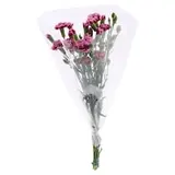 The Floral Connection Kytice karafiáty 45 cm 10 stonků