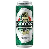 Radegast Rázná 10 pivo výčepní světlé 500ml