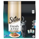Sheba Fresh & Fine Ve šťávě 15 x 50g (750g)