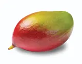 Mango 1 ks