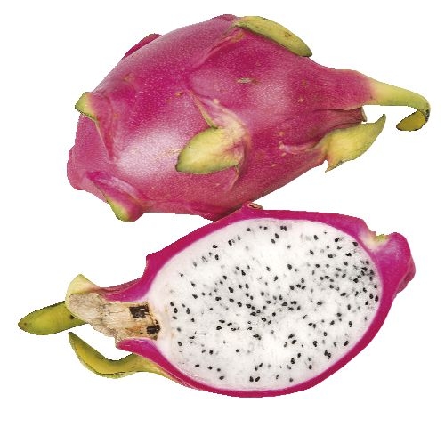 Pitahaya červená 1 ks