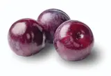 Blumy modré volné