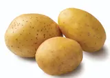 Brambory konzumní pozdní volné