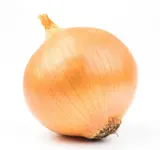 Cibule žlutá