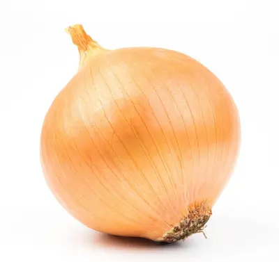 Cibule žlutá