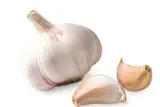 Česnek