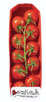 Rajčata koktejlová keříková 400g