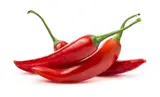 Papriky chilli Rawitt 25 g