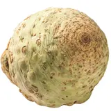 Celer bulvový praný
