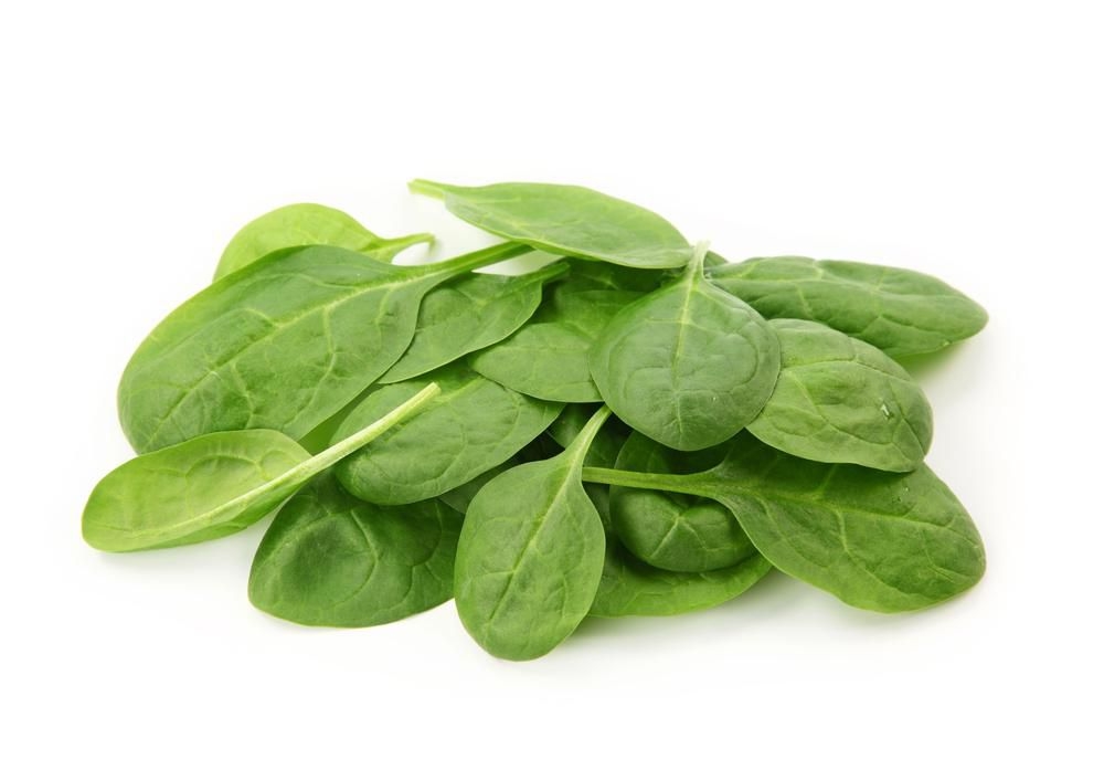 Špenát listy BIO balené 100 g