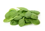BIO Špenát listy balené 100 g