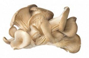 České Houby Hlíva ústřičná balená 300 g
