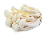 Shimeji bílé 150 g