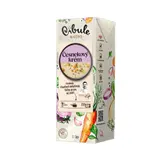 Cibule Bistro Česnekový krém 1l