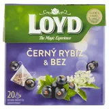 Loyd Bylinno-ovocný čaj aromatizovaný černý rybíz & bez 20 x 2g