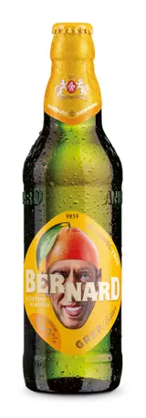 Bernard s čistou hlavou Grep