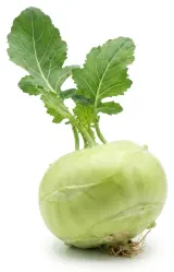 Kedlubna