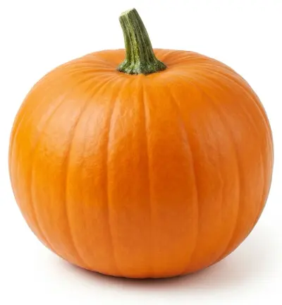 Dýně Hokkaido