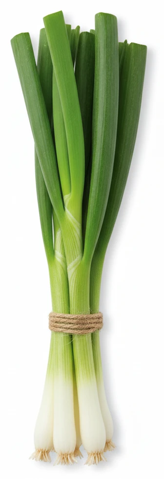 Cibule lahůdková