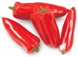 Paprika kapie