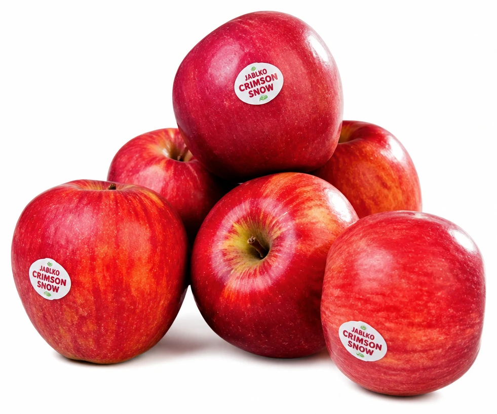 Jablko Crimson snow