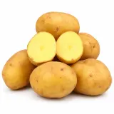Brambory konzumní pozdní