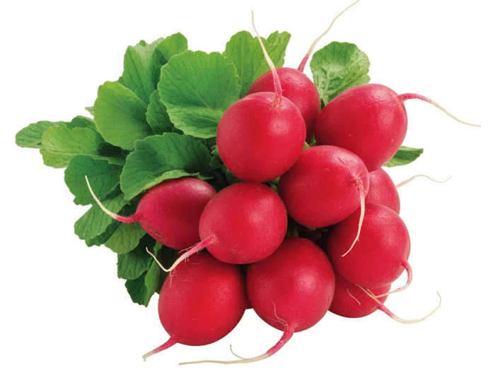 Ředkvičky