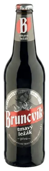 BRUNCVÍK Pivo tmavý ležák