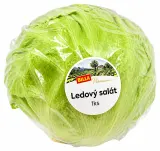 Ledový salát