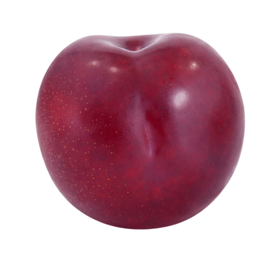 Bluma tmavá, 1 ks