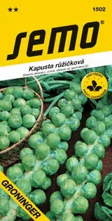 Semo Kapusta růžičková - GRONINGER