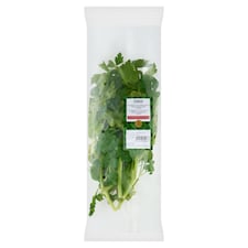 Petržel hladkolistá 100g