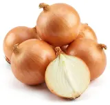 Cibule kuchyňská žlutá