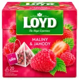 Loyd Pyramidový čaj