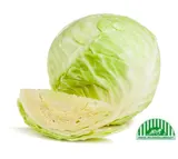 Bio Zelí bílé 1 ks